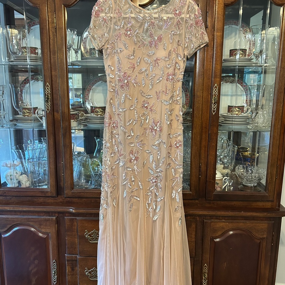 Adrianna Papell Blush and Silver Embellished Gown